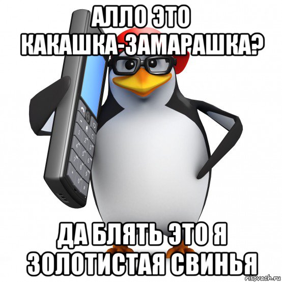 алло это какашка-замарашка? да блять это я золотистая свинья, Мем   Пингвин звонит