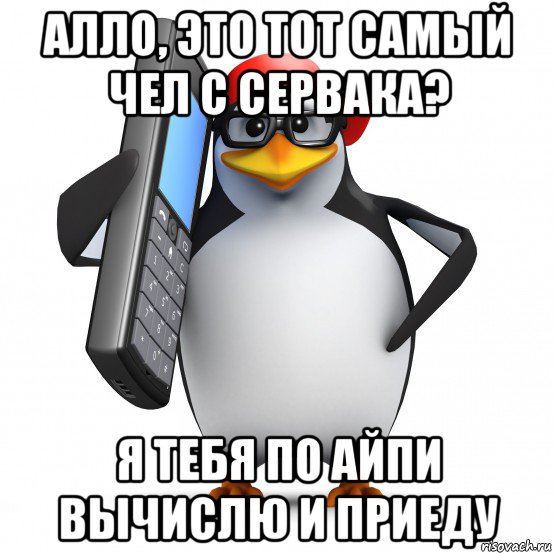 алло, это тот самый чел с сервака? я тебя по айпи вычислю и приеду