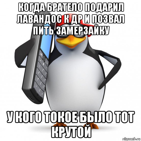 когда братело подарил лавандос к др и позвал пить замерзайку у кого токое было тот крутой, Мем   Пингвин звонит