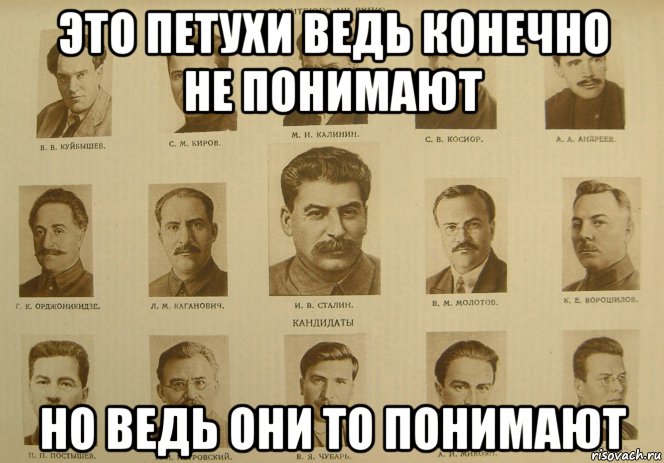 это петухи ведь конечно не понимают но ведь они то понимают, Мем Политбюро ЦК КПСС