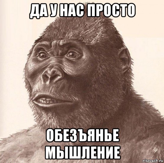 да у нас просто обезъянье мышление, Мем Приматопитек