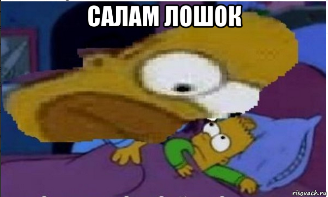 салам лошок 