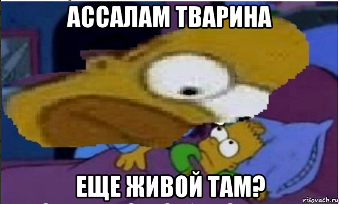 ассалам тварина еще живой там?