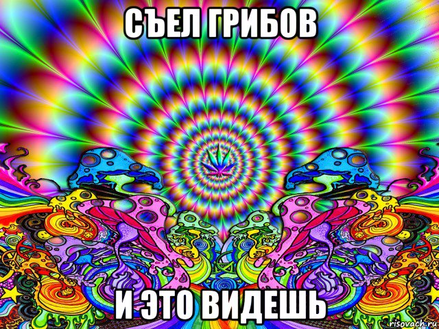 съел грибов и это видешь, Мем Psychedelic valley