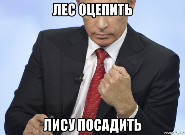 лес оцепить лису посадить, Мем Путин показывает кулак