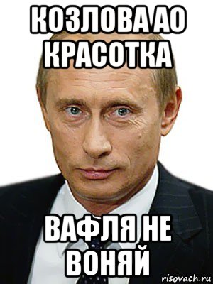 козлова ао красотка вафля не воняй, Мем Путин