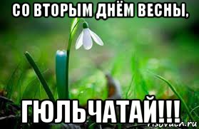 со вторым днём весны, гюльчатай!!!