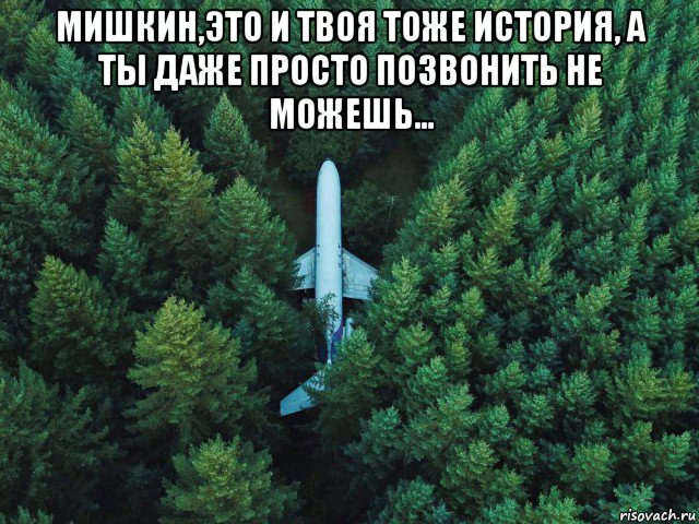 мишкин,это и твоя тоже история, а ты даже просто позвонить не можешь... , Мем Самолёт Зеленого Леса