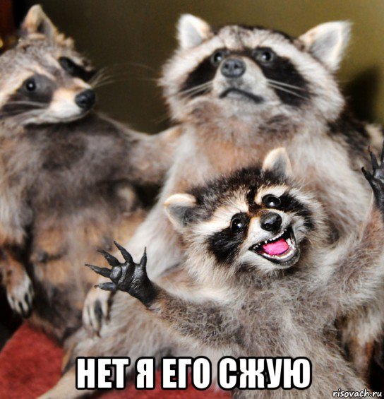  нет я его сжую