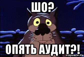 шо? опять аудит?!