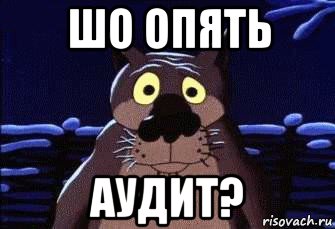 шо опять аудит?