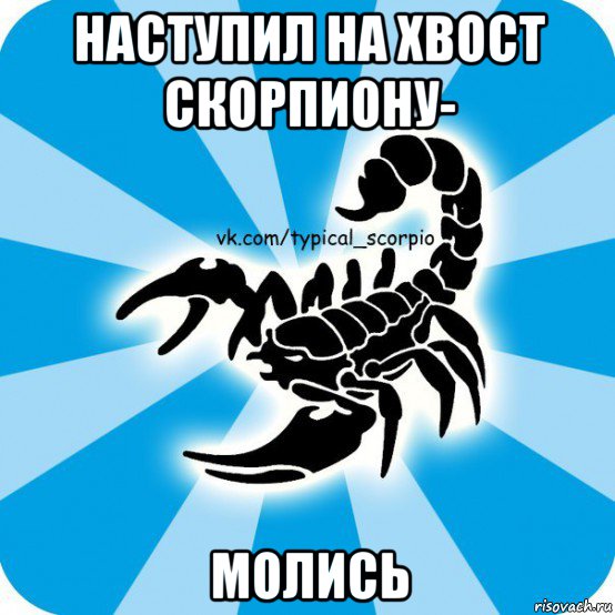наступил на хвост скорпиону- молись, Мем Скорпион