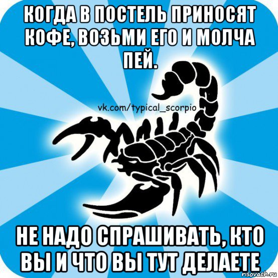 когда в постель приносят кофе, возьми его и молча пей. не надо спрашивать, кто вы и что вы тут делаете, Мем Скорпион