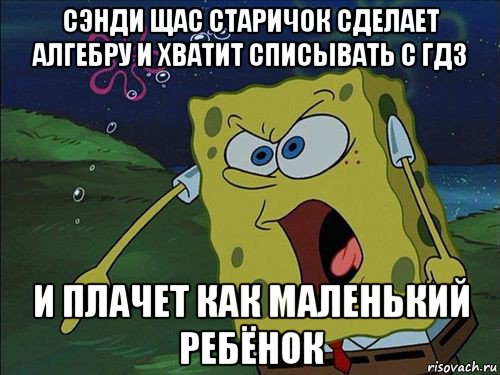 сэнди щас старичок сделает алгебру и хватит списывать с гдз и плачет как маленький ребёнок, Мем Спанч боб