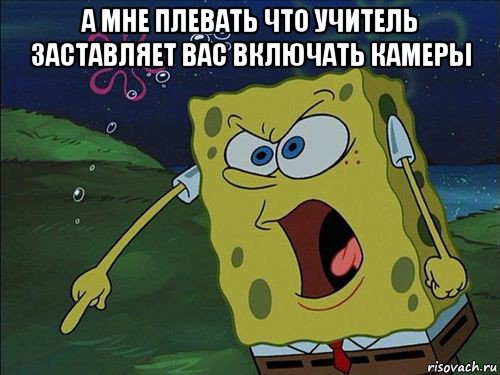 а мне плевать что учитель заставляет вас включать камеры , Мем Спанч боб