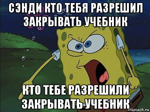 сэнди кто тебя разрешил закрывать учебник кто тебе разрешили закрывать учебник, Мем Спанч боб