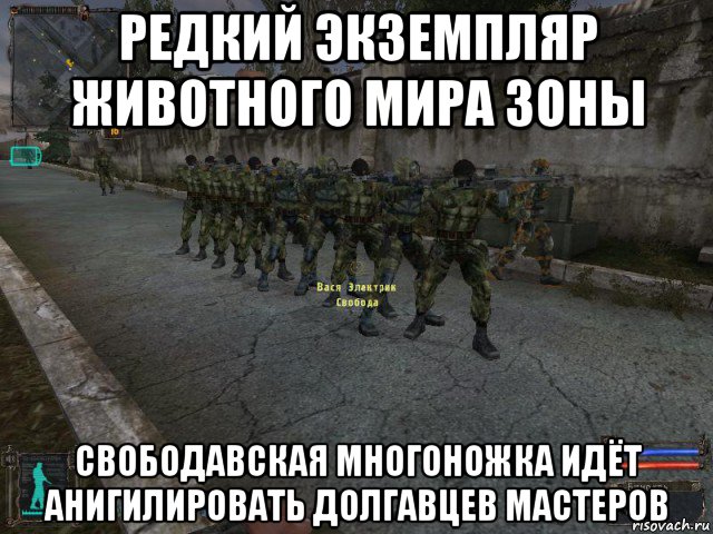 редкий экземпляр животного мира зоны свободавская многоножка идёт анигилировать долгавцев мастеров