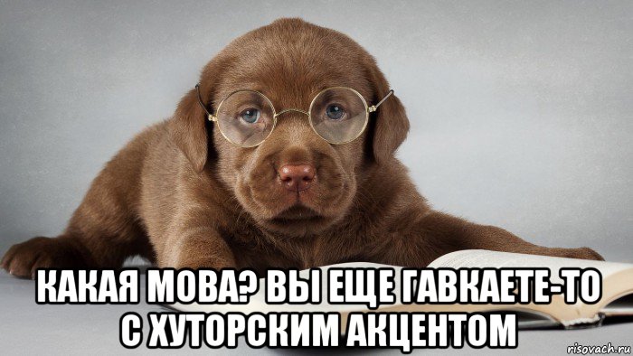  какая мова? вы еще гавкаете-то с хуторским акцентом, Мем Умный щенок