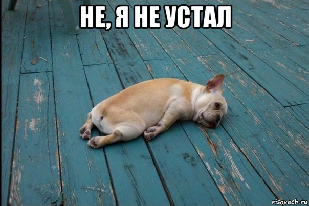 не, я не устал 