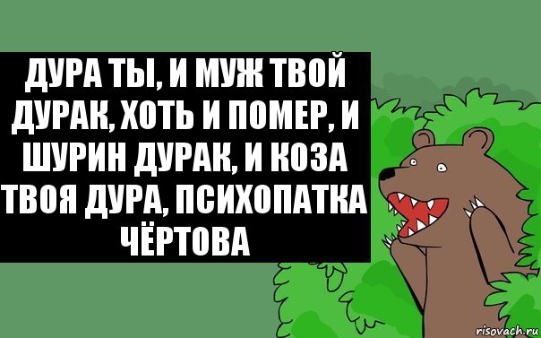 Дура ты, и муж твой дурак, хоть и помер, и шурин дурак, и коза твоя дура, психопатка чёртова