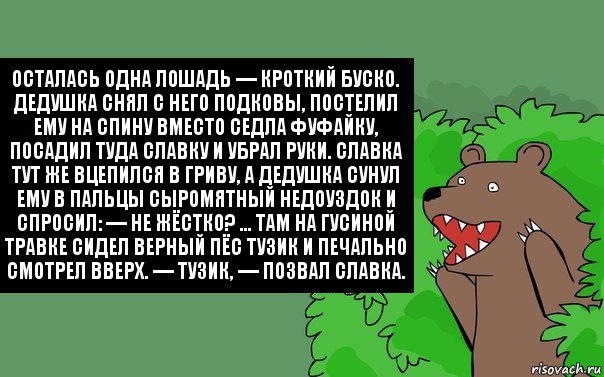 Осталась одна лошадь — кроткий Буско. Дедушка снял с него подковы, постелил ему на спину вместо седла фуфайку, посадил туда Славку и убрал руки. Славка тут же вцепился в гриву, а дедушка сунул ему в пальцы сыромятный недоуздок и спросил: — Не жёстко? ... Там на гусиной травке сидел верный пёс Тузик и печально смотрел вверх. — Тузик, — позвал Славка.