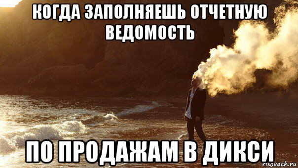 когда заполняешь отчетную ведомость по продажам в дикси