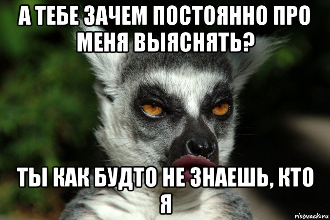 а тебе зачем постоянно про меня выяснять? ты как будто не знаешь, кто я