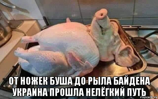  от ножек буша до рыла байдена украина прошла нелёгкий путь, Мем Жаркое ярош