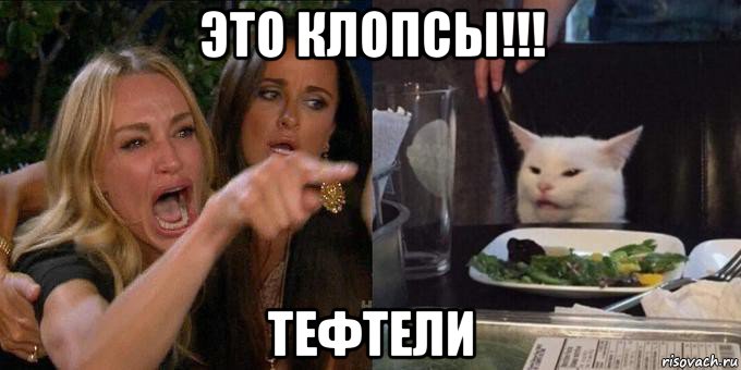 это клопсы!!! тефтели, Мем Женщина орёт на кота