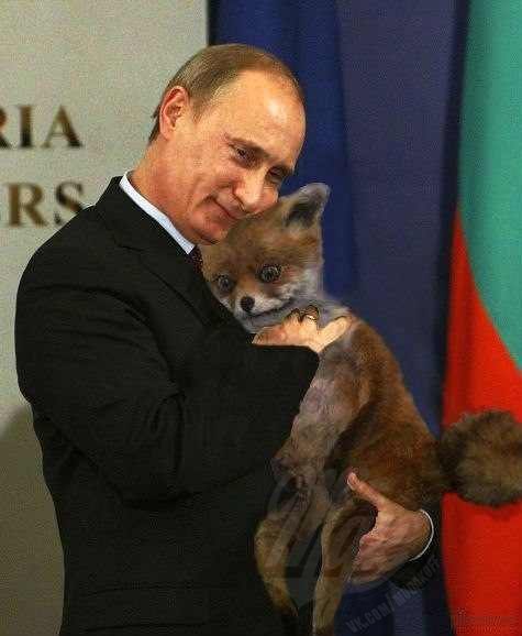Путин и лиса шаблон