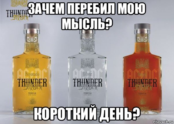 зачем перебил мою мысль? короткий день?, Мем 32