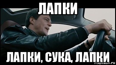 лапки лапки, сука, лапки, Мем Бабки духлесс