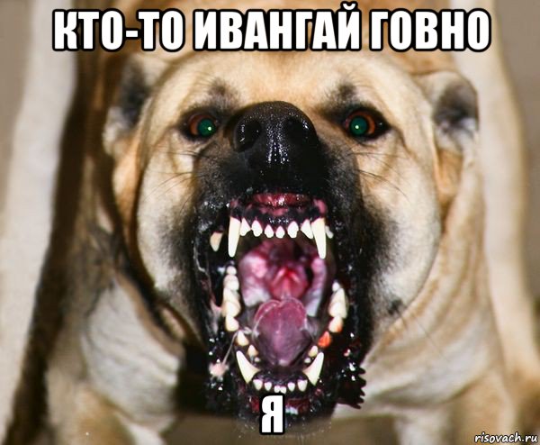 кто-то ивангай говно я, Мем бешеная собака