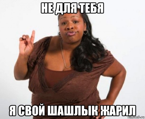 не для тебя я свой шашлык жарил