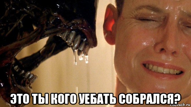  это ты кого уебать собрался?