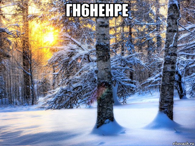 гн6ненре 