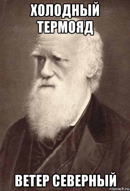 холодный термояд ветер северный