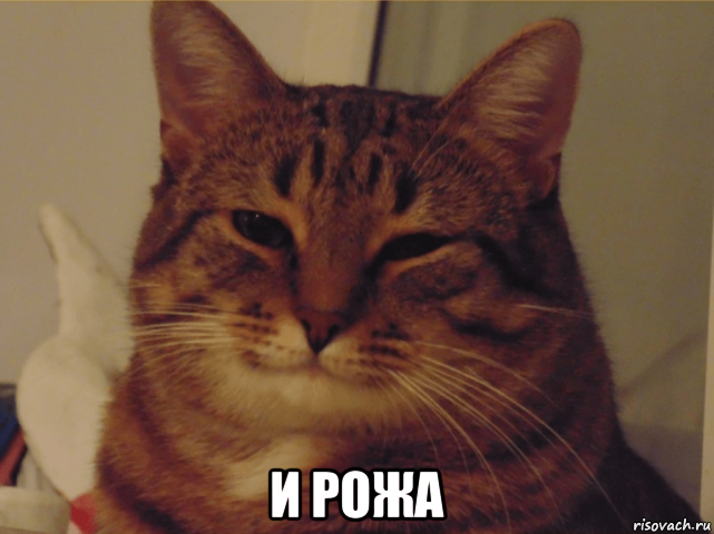  и рожа