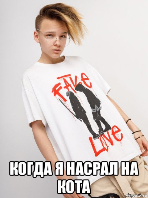  когда я насрал на кота, Мем Егор шип