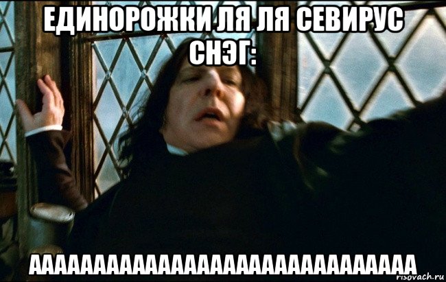 единорожки ля ля севирус снэг: аааааааааааааааааааааааааааааа
