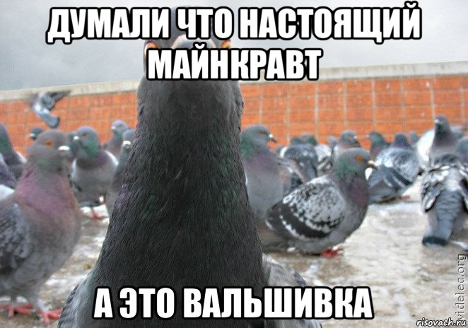 думали что настоящий майнкравт а это вальшивка