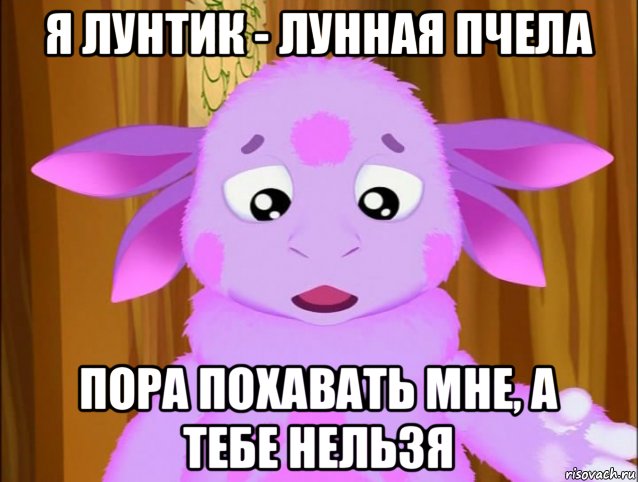 я лунтик - лунная пчела пора похавать мне, а тебе нельзя