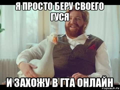 я просто беру своего гуся и захожу в гта онлайн, Мем Хорошечно
