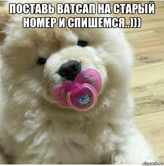 поставь ватсап на старый номер и спишемся..))) , Мем Im your little baby