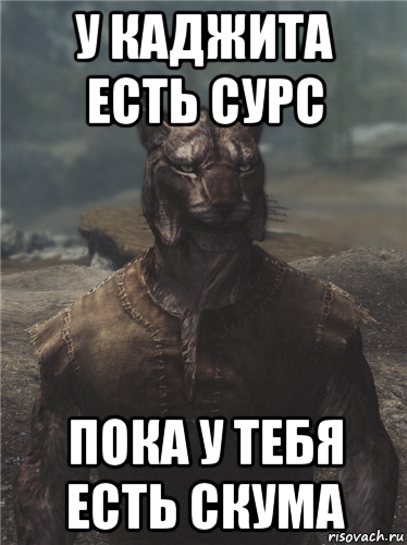 у каджита есть сурс пока у тебя есть скума
