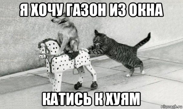 я хочу газон из окна катись к хуям