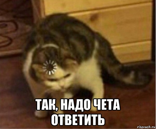  так, надо чета ответить, Мем Кот загрузка