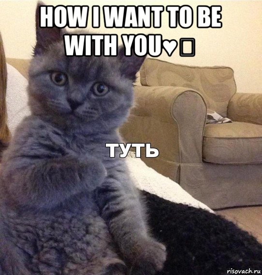 how i want to be with you♥️ , Мем Котик - Туть