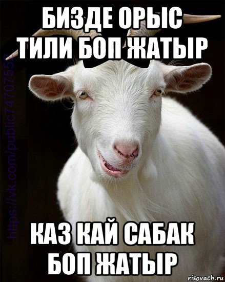 бизде орыс тили боп жатыр каз кай сабак боп жатыр