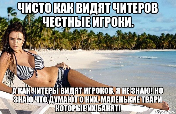 чисто как видят читеров честные игроки. а как читеры видят игроков, я не знаю! но знаю что думают о них. маленькие твари которые их банят!